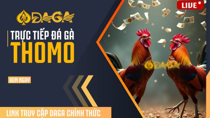 Trực tiếp đá gà Thomo Campuchia